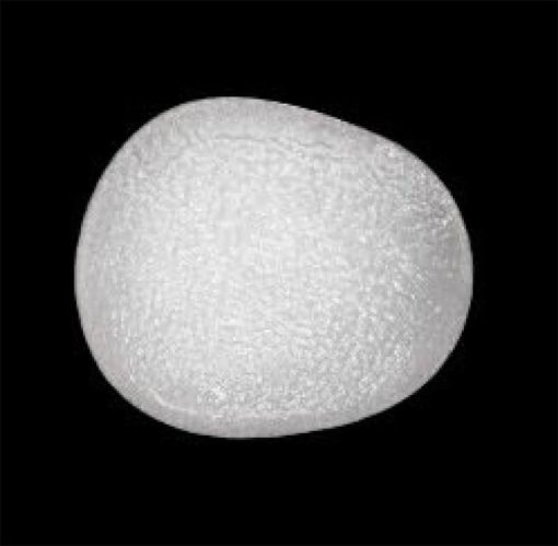 Pectoral Implant Style 1, (left or right) Sterile